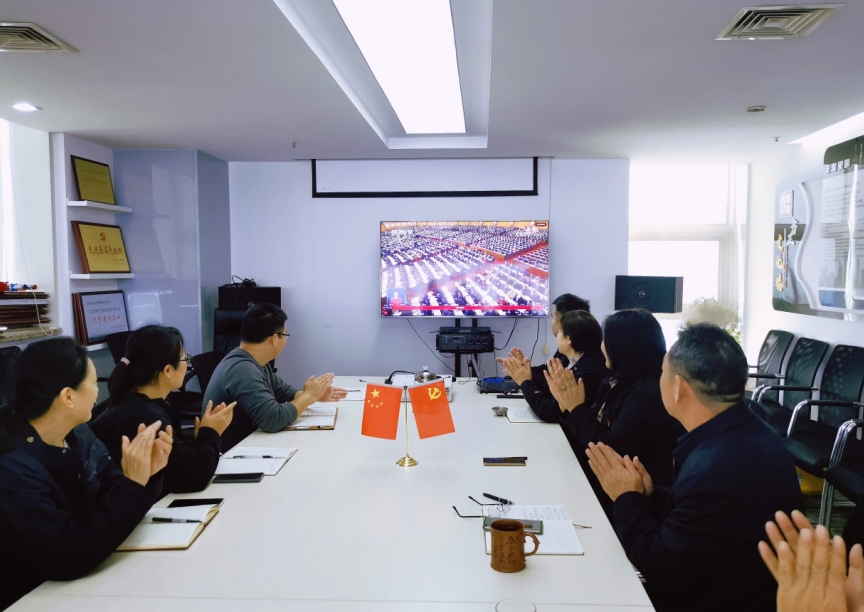 黨建鑄魂，砥礪凝聚強(qiáng)大動(dòng)力——助力“審，評(píng)，建”匠心工作